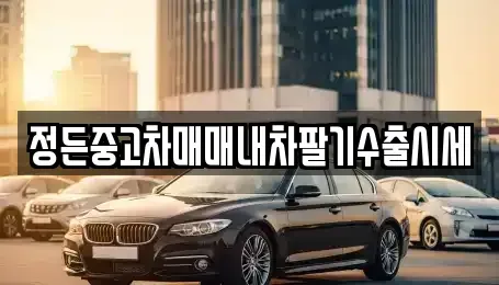 경기도 동두천시 광암동 중고차매매 전문 정든중고차매매내차팔기수출시세