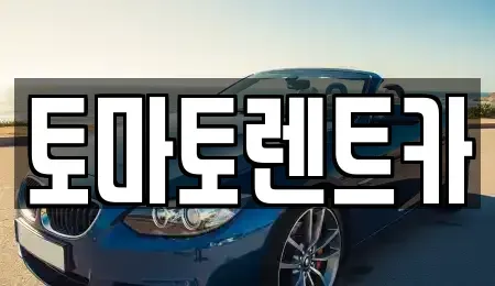 경기도 동두천시 송내동 렌트카 전문 토마토렌트카