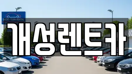 경기도 부천시 오정구 작동 렌트카 전문 개성렌트카