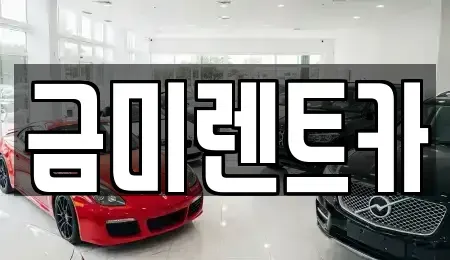 경기도 부천시 오정구 작동 렌트카 전문 금미렌트카