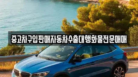 경기도 부천시 원미구 약대동 중고차 전문 중고차구입판매자동차수출대행화물전문매매