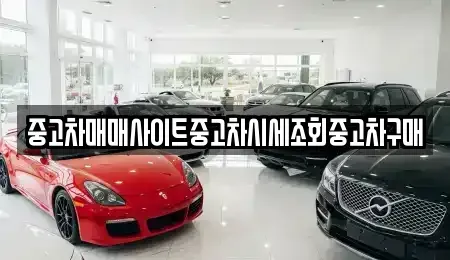 경기도 부천시 원미구 약대동 중고차 전문 중고차매매사이트중고차시세조회중고차구매