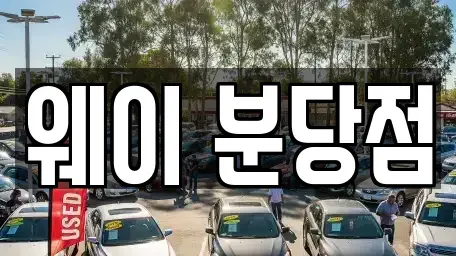 경기도 성남시 분당구 분당동 단기렌트카 전문 웨이 분당점