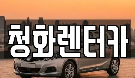 경기도 성남시 분당구 분당동 단기렌트카 전문 청화렌터카
