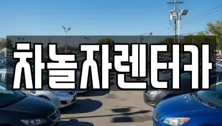 경기도 성남시 분당구 분당동 렌트카 전문 차놀자렌터카