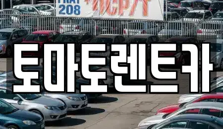 경기도 성남시 분당구 분당동 렌트카 전문 토마토렌트카