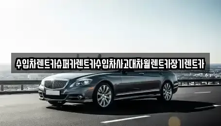 경기도 성남시 분당구 분당동 장기렌트카,중고차,렌트카,단기렌트카,중고차매입,중고차매매
