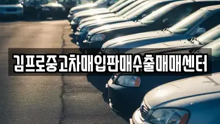 경기도 성남시 분당구 분당동 중고차 전문 김프로중고차매입판매수출매매센터