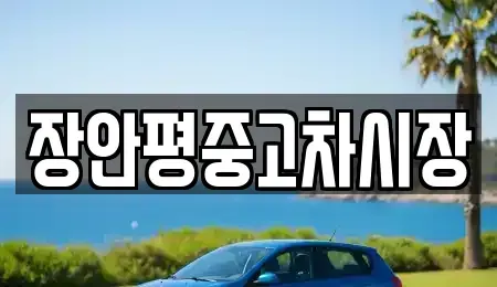 경기도 성남시 분당구 분당동 중고차 전문 장안평중고차시장