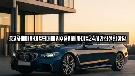 경기도 성남시 분당구 분당동 중고차 전문 중고차매매사이트판매매입수출시세사이트24시간친절한상담