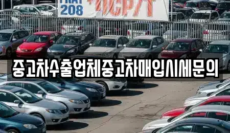 경기도 성남시 분당구 분당동 중고차매입 전문 중고차수출업체중고차매입시세문의
