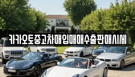 경기도 성남시 분당구 분당동 중고차매입 전문 카카오토중고차매입매매수출판매시세