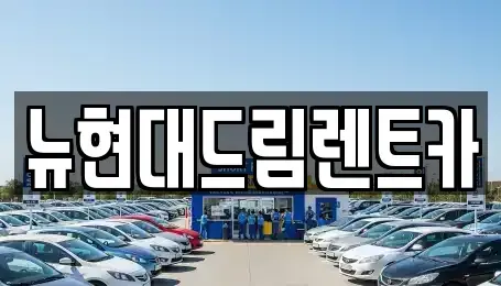 경기도 성남시 분당구 율동 렌트카 전문 뉴현대드림렌트카