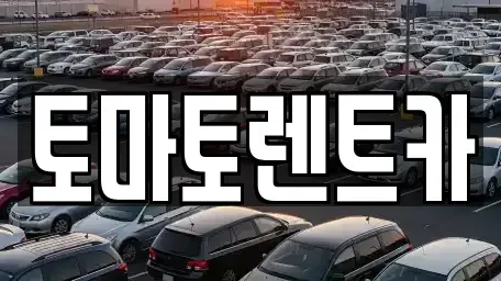 경기도 성남시 분당구 율동 렌트카 전문 토마토렌트카