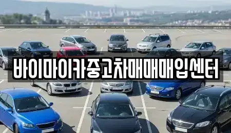 경기도 성남시 분당구 율동 중고차 전문 바이마이카중고차매매매입센터