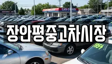경기도 성남시 분당구 율동 중고차 전문 장안평중고차시장