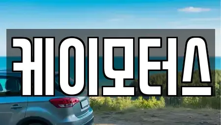 경기도 성남시 분당구 율동 중고차 전문 케이모터스