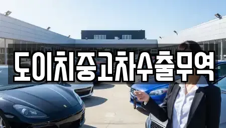 경기도 성남시 분당구 율동 중고차매매 전문 도이치중고차수출무역