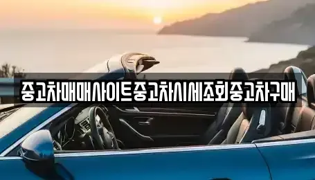 경기도 성남시 중원구 중고차매매 전문 중고차매매사이트중고차시세조회중고차구매
