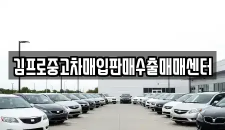 경기도 성남시 중원구 중고차매입 전문 김프로중고차매입판매수출매매센터