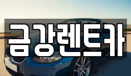 경기도 수원시 장안구 하광교동 렌트카 전문 금강렌트카
