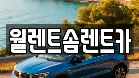 경기도 수원시 장안구 하광교동 렌트카 전문 월렌트솜렌트카