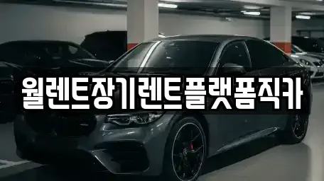 경기도 수원시 장안구 하광교동 장기렌트카 전문 월렌트장기렌트플랫폼직카