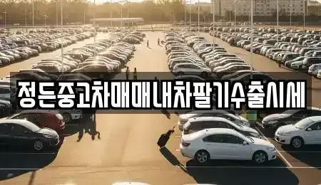 경기도 수원시 장안구 하광교동 중고차 전문 정든중고차매매내차팔기수출시세