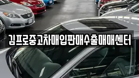 경기도 수원시 팔달구 매교동 중고차매매 전문 김프로중고차매입판매수출매매센터