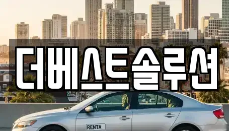 경기도 수원시 팔달구 중동 장기렌트카 전문 더베스트솔루션