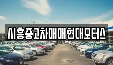경기도 시흥시 논곡동 중고차,렌트카,중고차매입,중고차매매,장기렌트카,단기렌트카