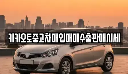 경기도 시흥시 논곡동 중고차매입 전문 카카오토중고차매입매매수출판매시세
