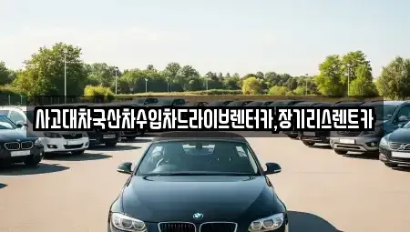 경기도 시흥시 월곶동 렌트카 전문 사고대차국산차수입차드라이브렌터카,장기리스렌트카
