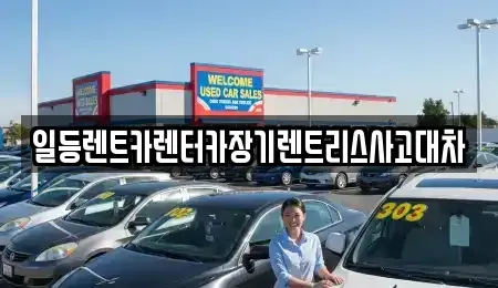경기도 시흥시 월곶동 렌트카 전문 일등렌트카렌터카장기렌트리스사고대차