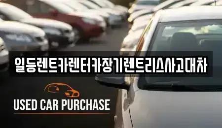 경기도 시흥시 월곶동 렌트카 전문 일등렌트카렌터카장기렌트리스사고대차