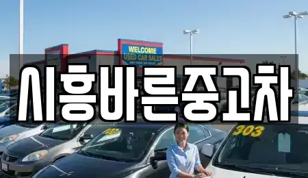 경기도 시흥시 월곶동 중고차,렌트카,중고차매입,중고차매매,장기렌트카,단기렌트카