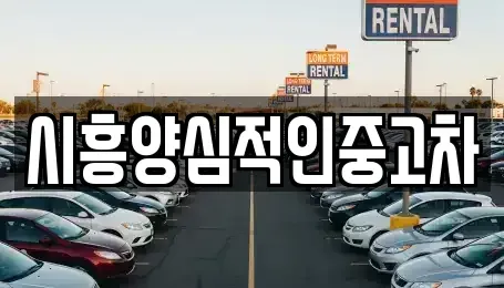 경기도 시흥시 월곶동 중고차 전문 시흥양심적인중고차