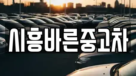 경기도 시흥시 월곶동 중고차매매 전문 시흥바른중고차