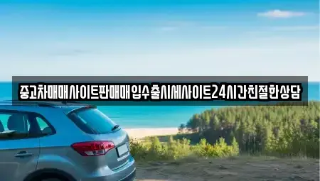 경기도 시흥시 월곶동 중고차매입 전문 중고차매매사이트판매매입수출시세사이트24시간친절한상담