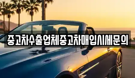 경기도 시흥시 월곶동 중고차매입 전문 중고차수출업체중고차매입시세문의