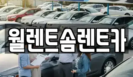 경기도 안산시 단원구 와동 렌트카 전문 월렌트솜렌트카
