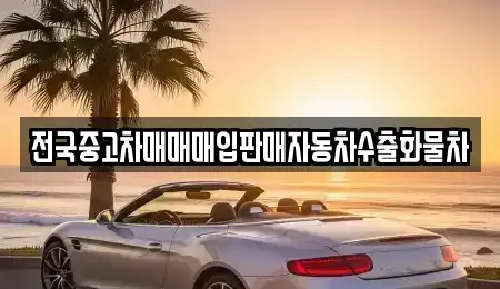 경기도 안산시 단원구 와동 중고차 전문 전국중고차매매매입판매자동차수출화물차