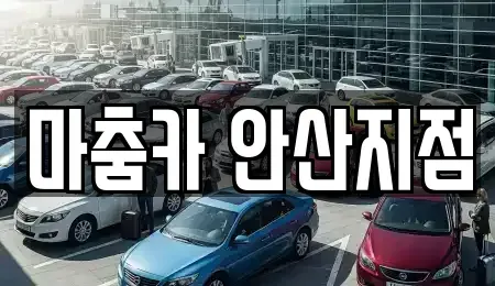 경기도 안산시 단원구 원시동 렌트카 전문 마춤카 안산지점