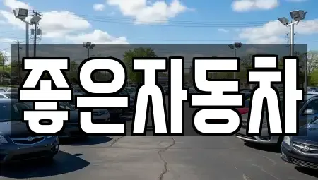 경기도 안산시 단원구 원시동 중고차 전문 좋은자동차