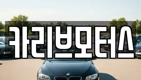 경기도 안산시 단원구 원시동 중고차 전문 카리브모터스