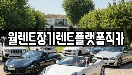 경기도 안성시 장기렌트카 전문 월렌트장기렌트플랫폼직카