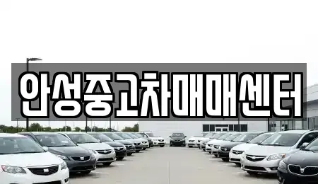 경기도 안성시 중고차 전문 안성중고차매매센터