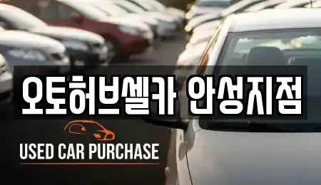 경기도 안성시 중고차매매 전문 오토허브셀카 안성지점