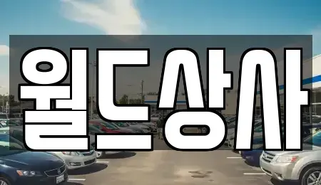 경기도 안성시 중고차매매 전문 월드상사