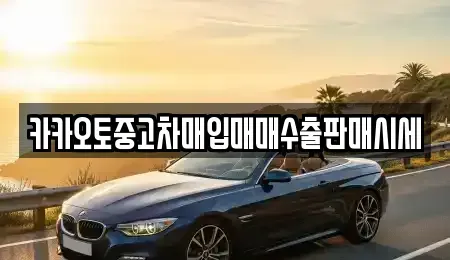 경기도 안성시 중리동 중고차 전문 카카오토중고차매입매매수출판매시세